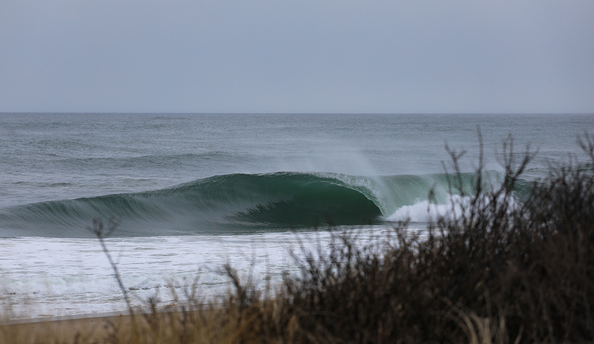 Photo: Clark Leonard