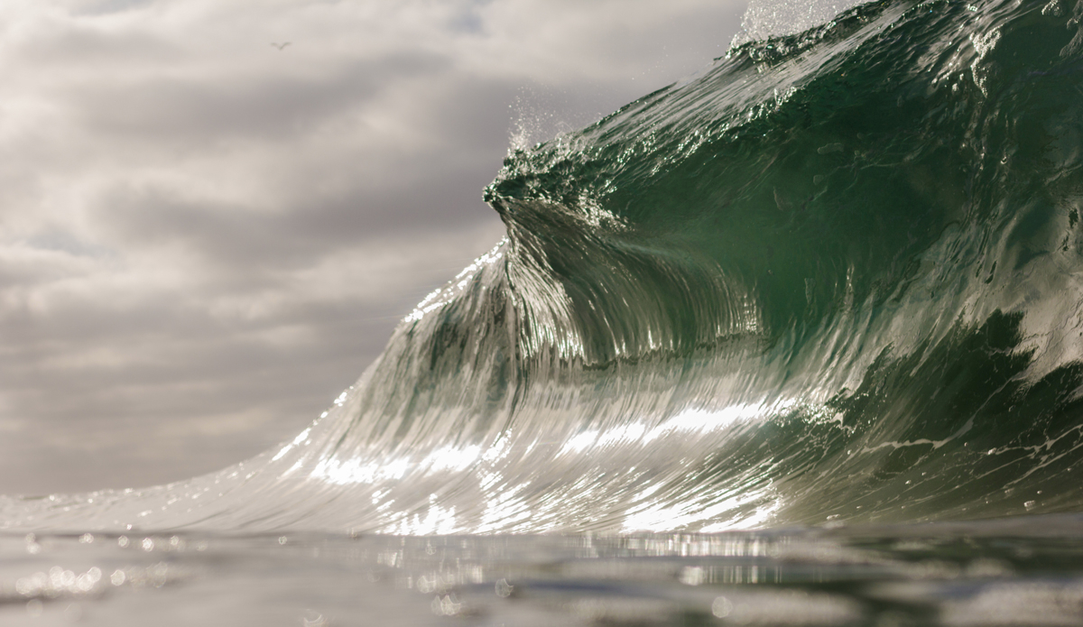 Photo: <a href=\"https://www.instagram.com/baileykphoto/\">@Baileykphoto</a>