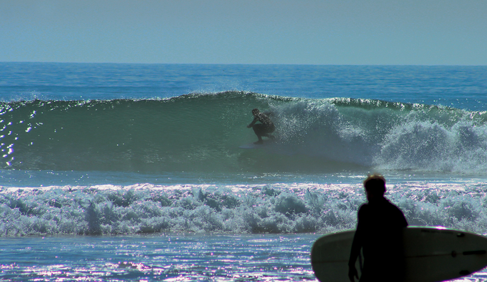 Rincon watching. Photo: <a href=\"https://stacylucierphotography.com\">Stacy Lucier</a>