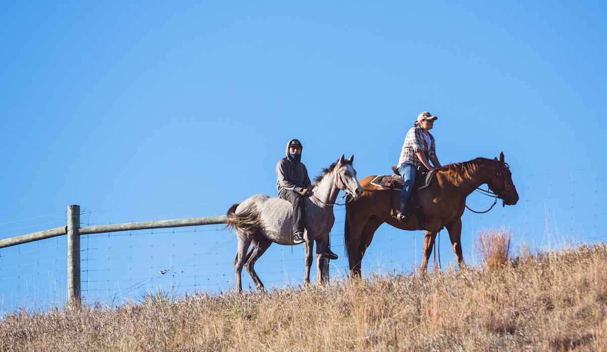 Water Protectors on horse back, sometimes without a saddle, riding bareback. Scoping the scenario from above. Photo: Keegan Gibbs