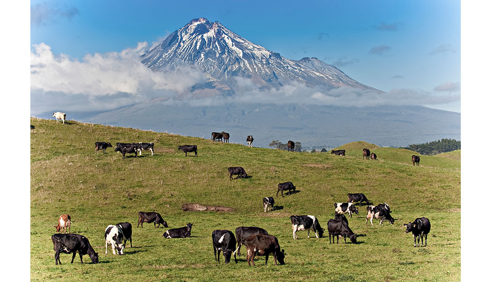 Taranaki, New Zealand. Photo: <a href=\"https://www.16images.com.au\">Steen Barnes</a>