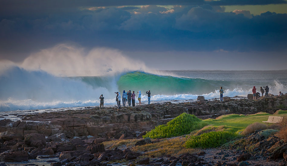 Look Look – what are you looking at? South Coast Magic. Photo: <a href=\"https://www.16images.com.au\">Steen Barnes</a>