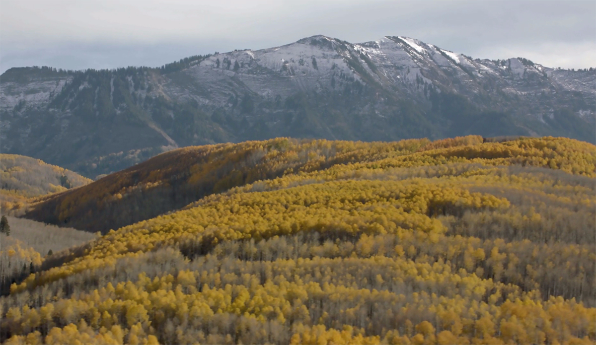 Photo: <a href=\"https://vimeo.com/117633751\">MSP Films</a>