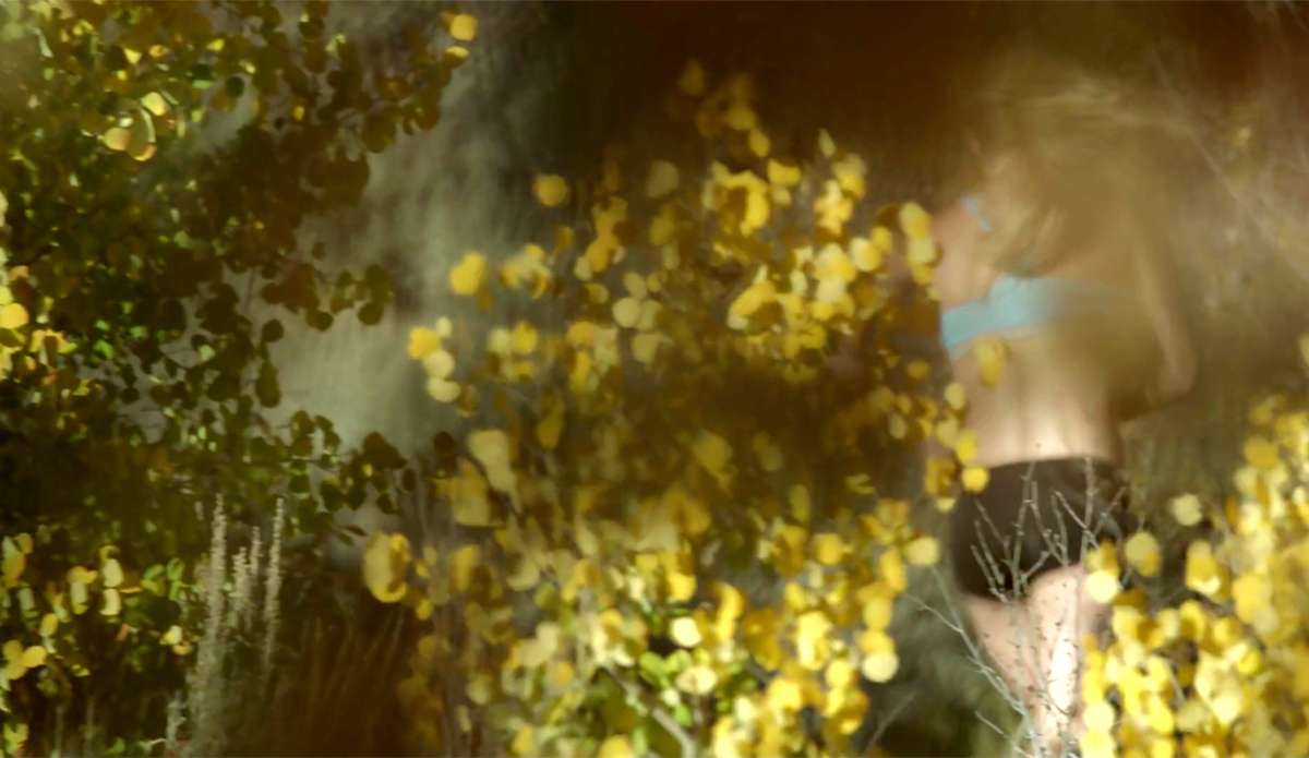 Photo: <a href=\"https://vimeo.com/117633751\">MSP Films</a>