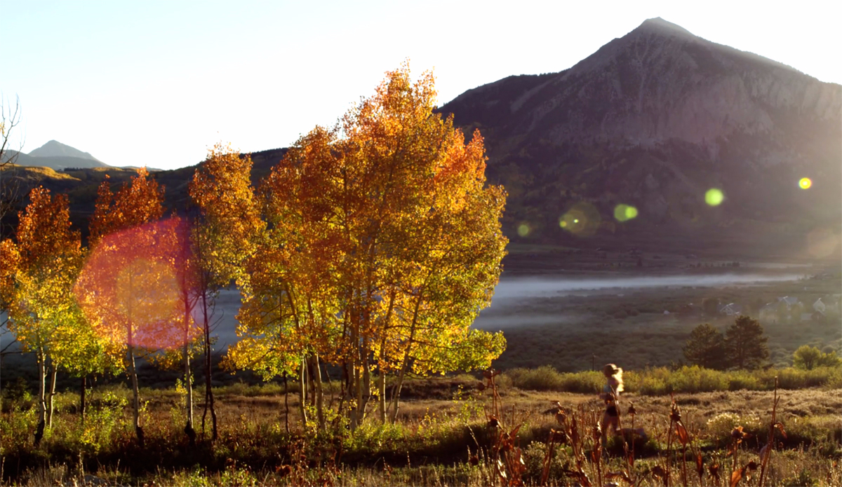 Photo: <a href=\"https://vimeo.com/117633751\">MSP Films</a>