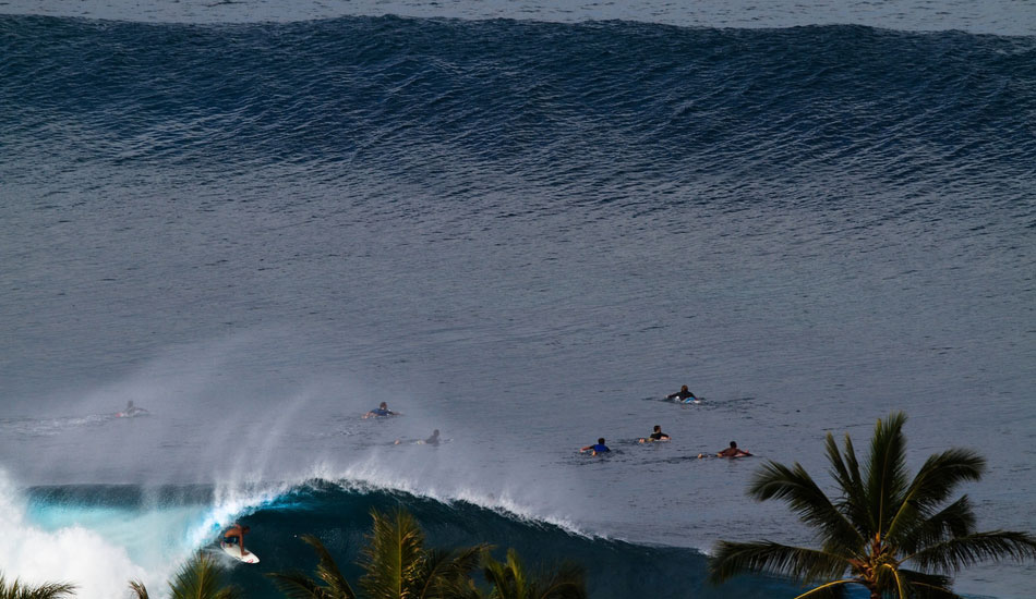 Bird with a camera. Photo: <a href=\"https://www.stephanelacasaphotography.com\">Stephane Lacasa</a>
