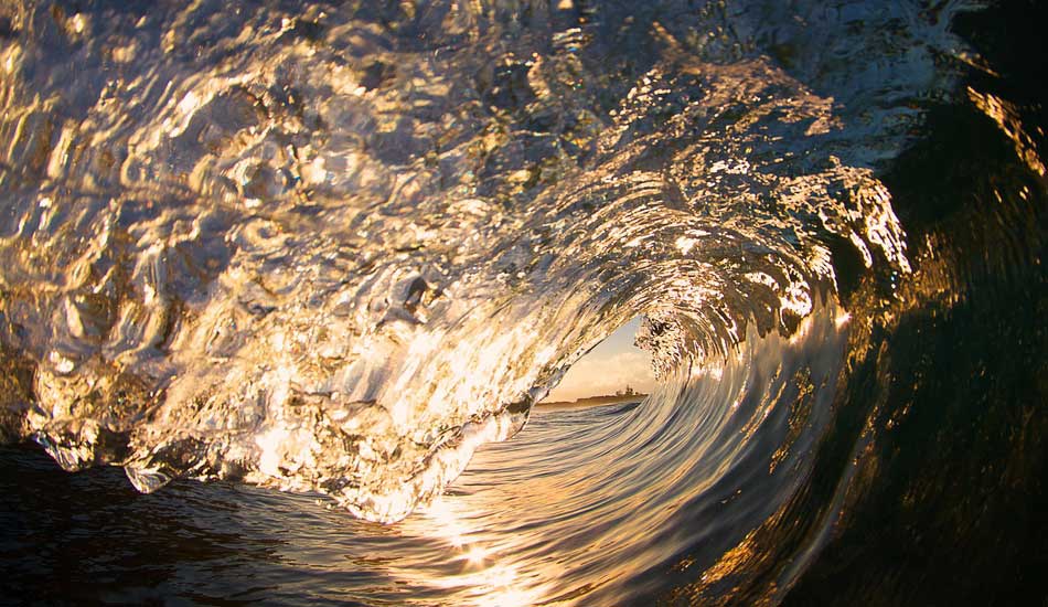 Gold rush. Photo: <a href=\"https://www.stephanelacasaphotography.com\">Stephane Lacasa</a>