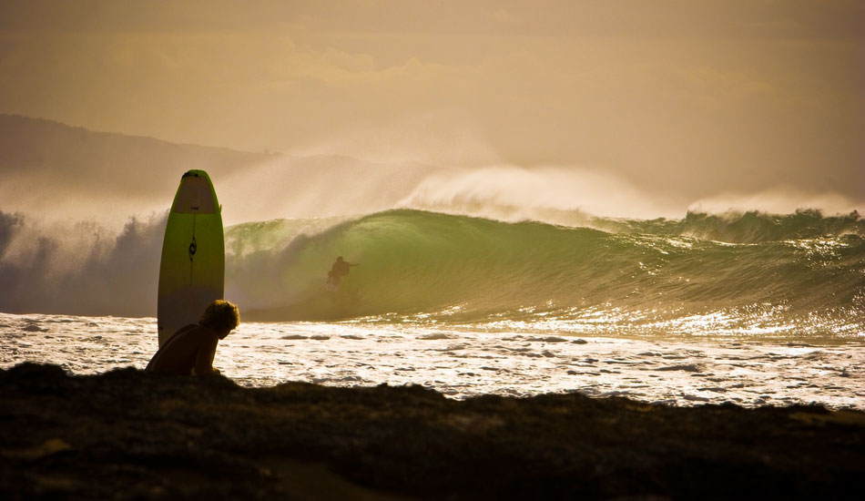 In the shade. Photo: <a href=\"https://www.stephanelacasaphotography.com\">Stephane Lacasa</a>