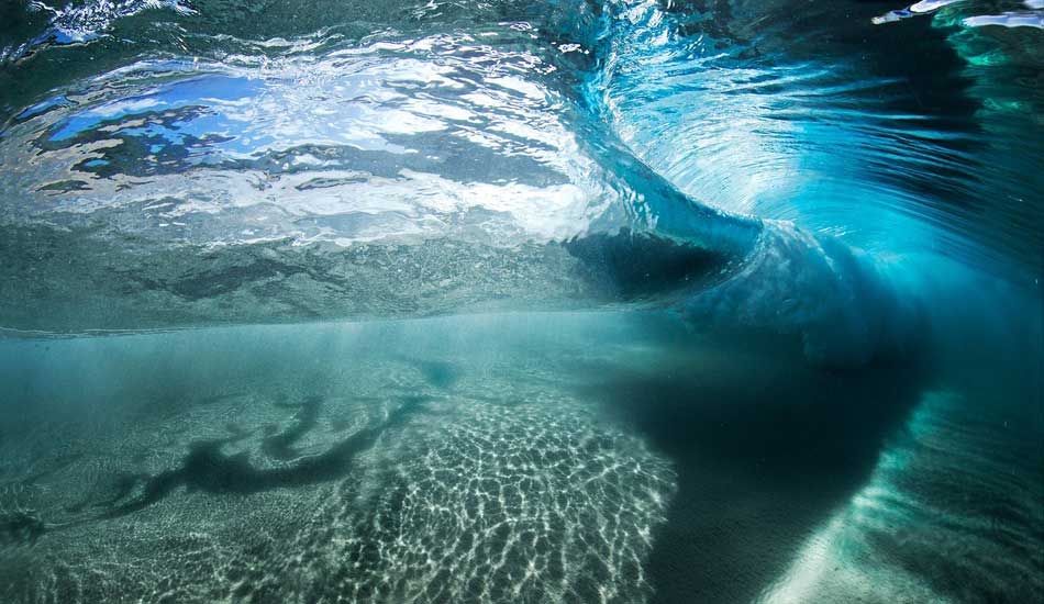 Scorpion. Photo: <a href=\"https://www.stephanelacasaphotography.com\">Stephane Lacasa</a>