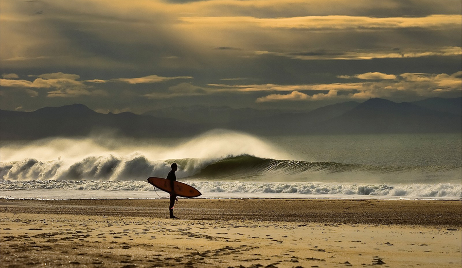 Typical scene in Landes Country. Photo: <a href=\"https://www.facebook.com/SalernoPhoto\"> Stéphane Salerno