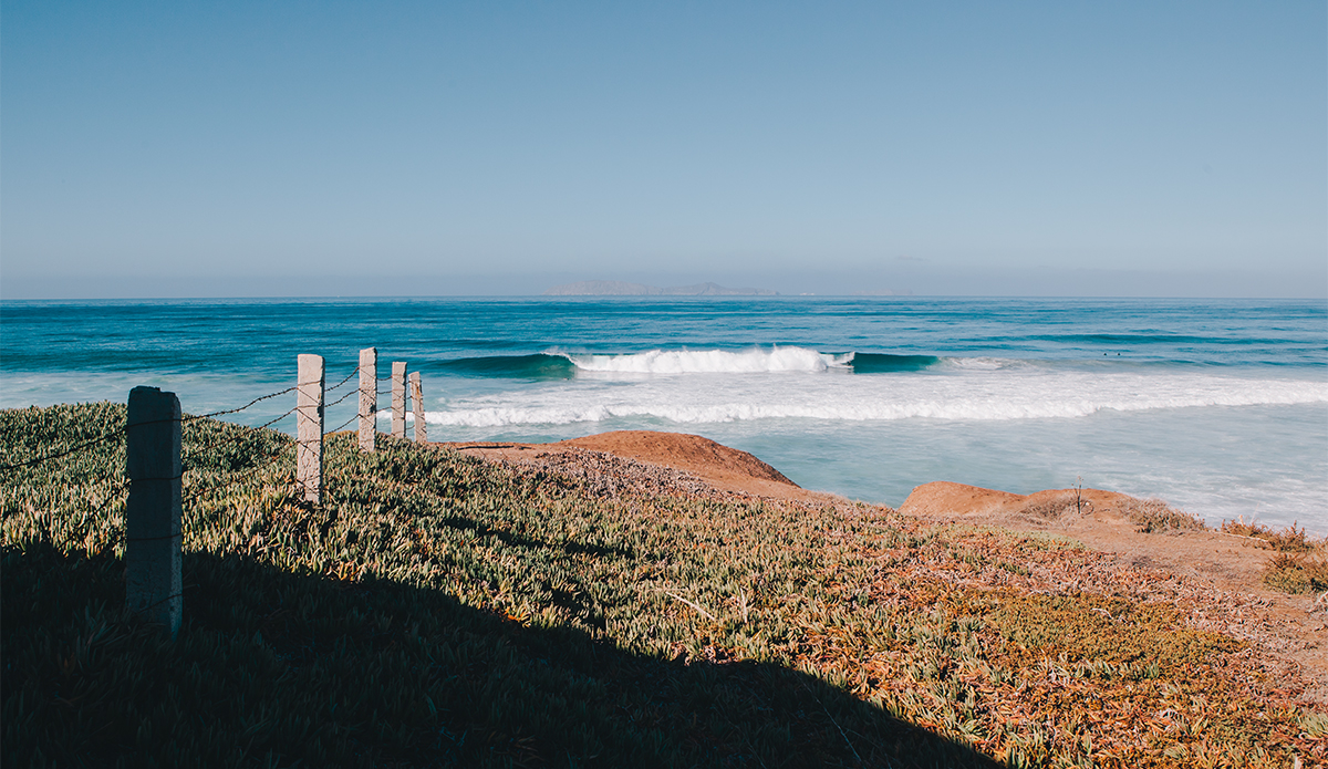 Love a good lineup shot.