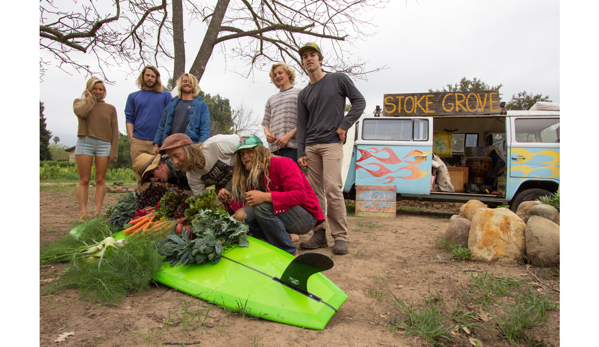 Harvest volunteers with Wiley (blue jacket, third from left) and Chris (red shirt, green hat). Photo: <a href=\"https://instagram.com/peatheadq\">Michael Kew</a>
