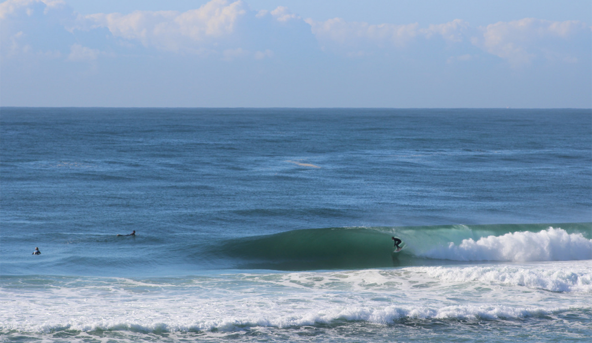 Photo: <a href=\"https://rickycavarra.com\">Ricky Cavarra</a>