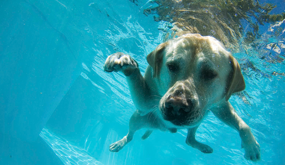 Harley Oconnor. Namotu. Photo: <a href=\"https://www.stugibson.net\">Stuart Gibson</a>