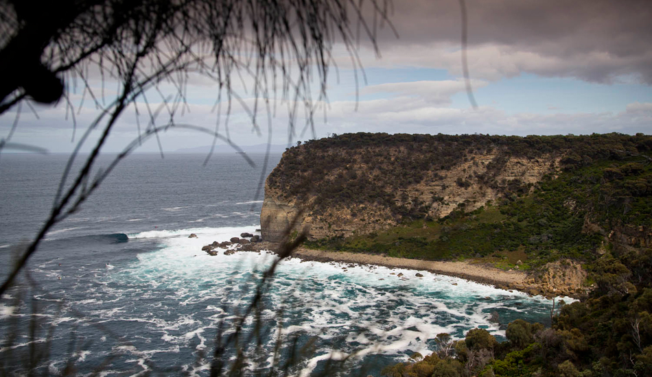 Shippies pulled back. Photo: <a href=\"https://www.stugibson.net\">Stuart Gibson</a>