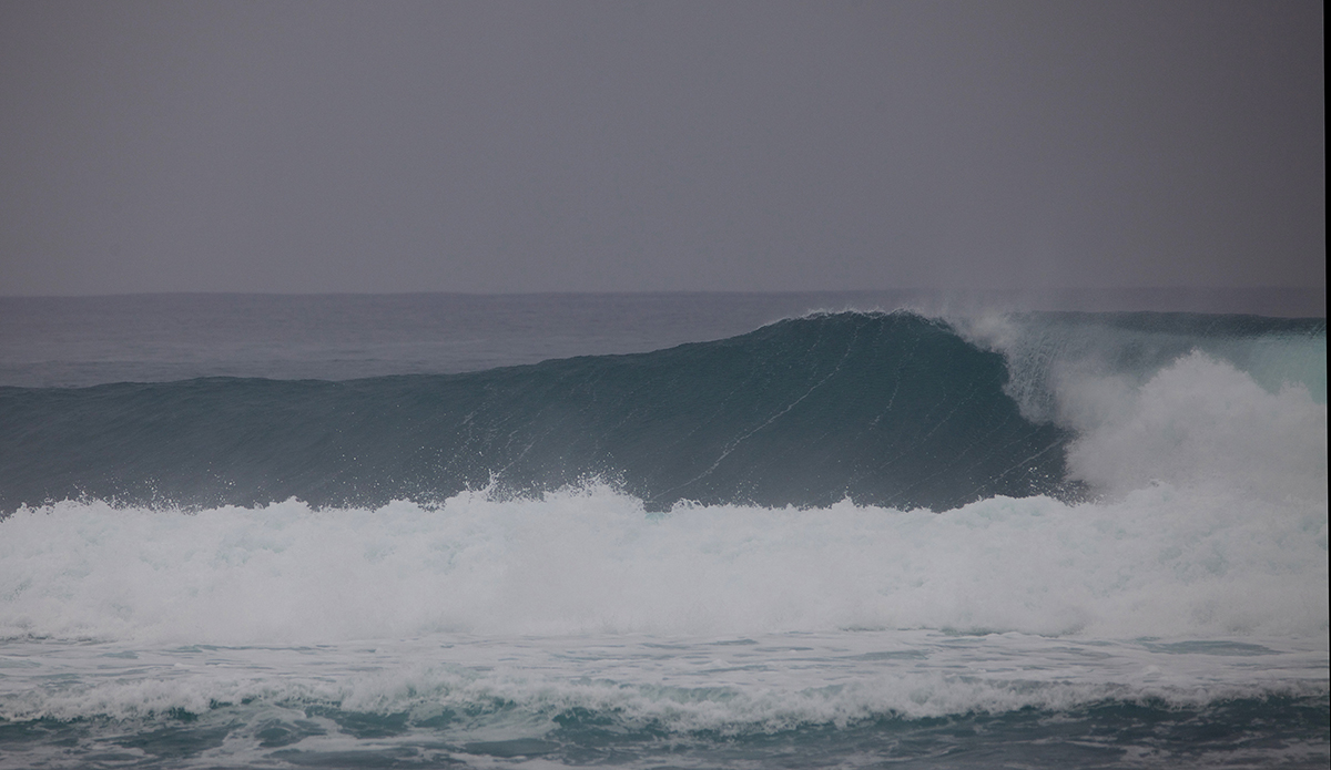 Photo: @shannonreporting