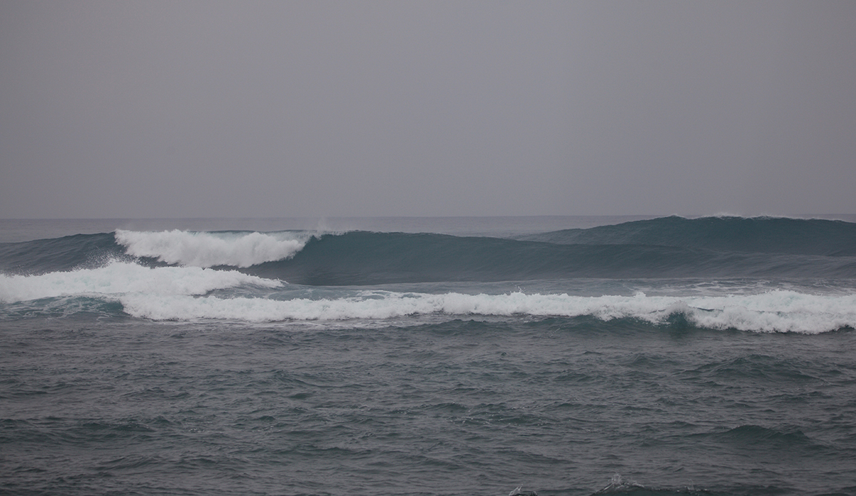 Photo: @shannonreporting