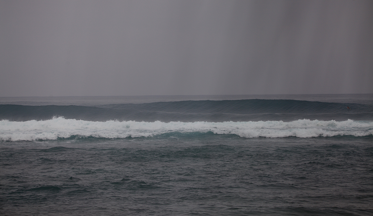 Photo: @shannonreporting