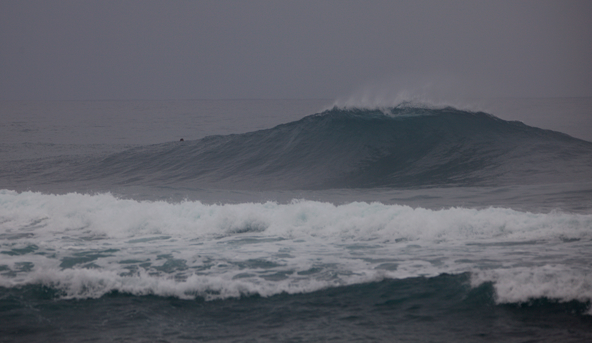 Photo: @shannonreporting