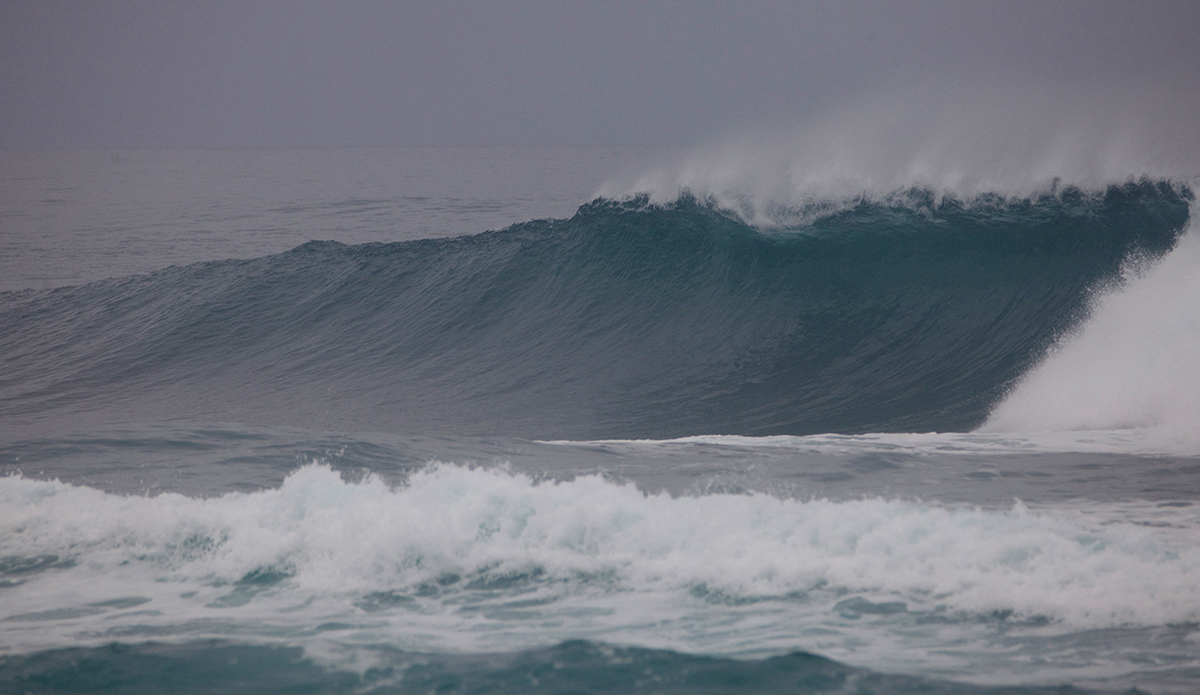 Photo: @shannonreporting