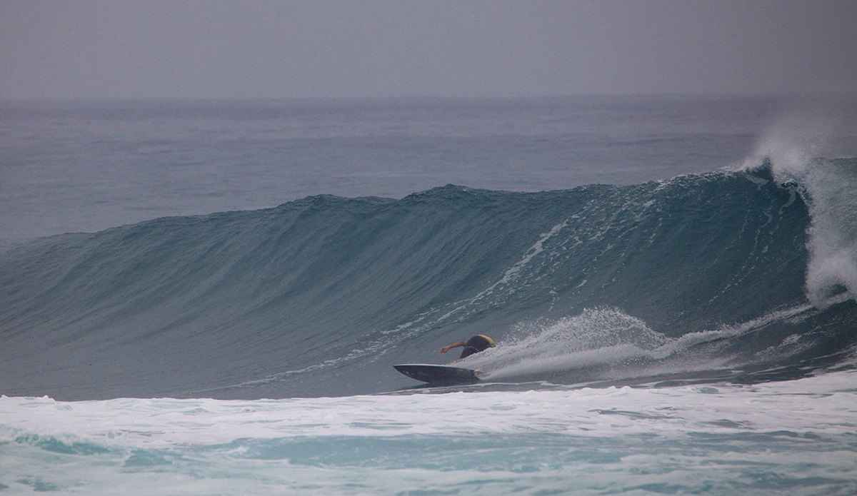 Photo: @shannonreporting