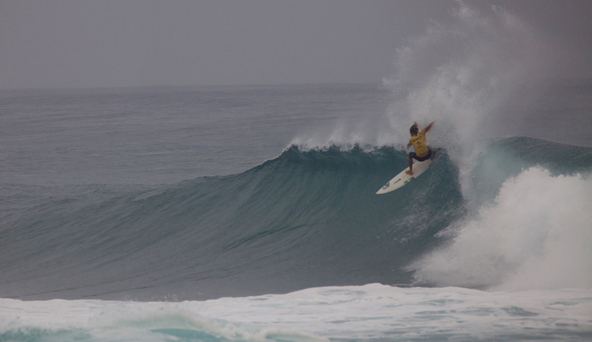 Torrey Meister. Photo: @shannonreporting