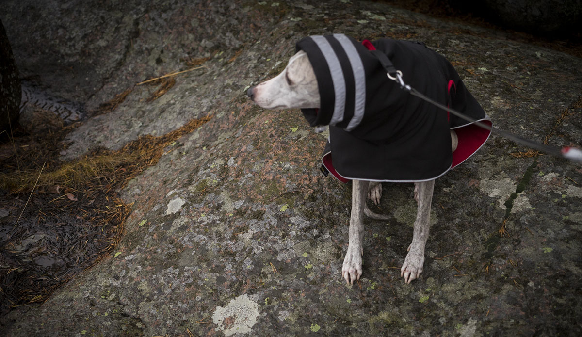 Photo: Giovanni Astorino