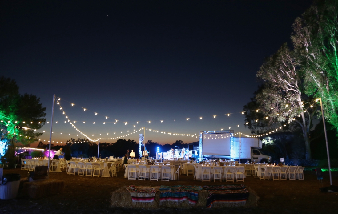 Photo: Jerritt Clark