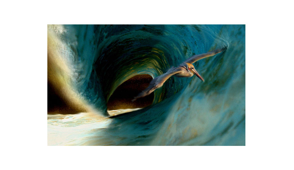 Pelican Barrel. Photo: <a href=\"https://www.envirosurfartseries.com\" target=_blank>Richard Morrison</a>