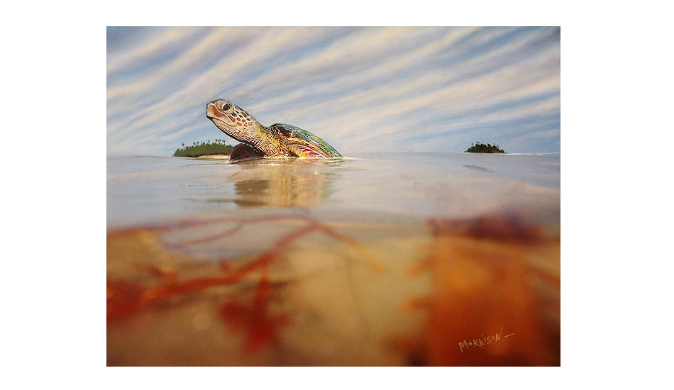 Turtle Island. Photo: <a href=\"https://www.envirosurfartseries.com\" target=_blank>Richard Morrison</a>