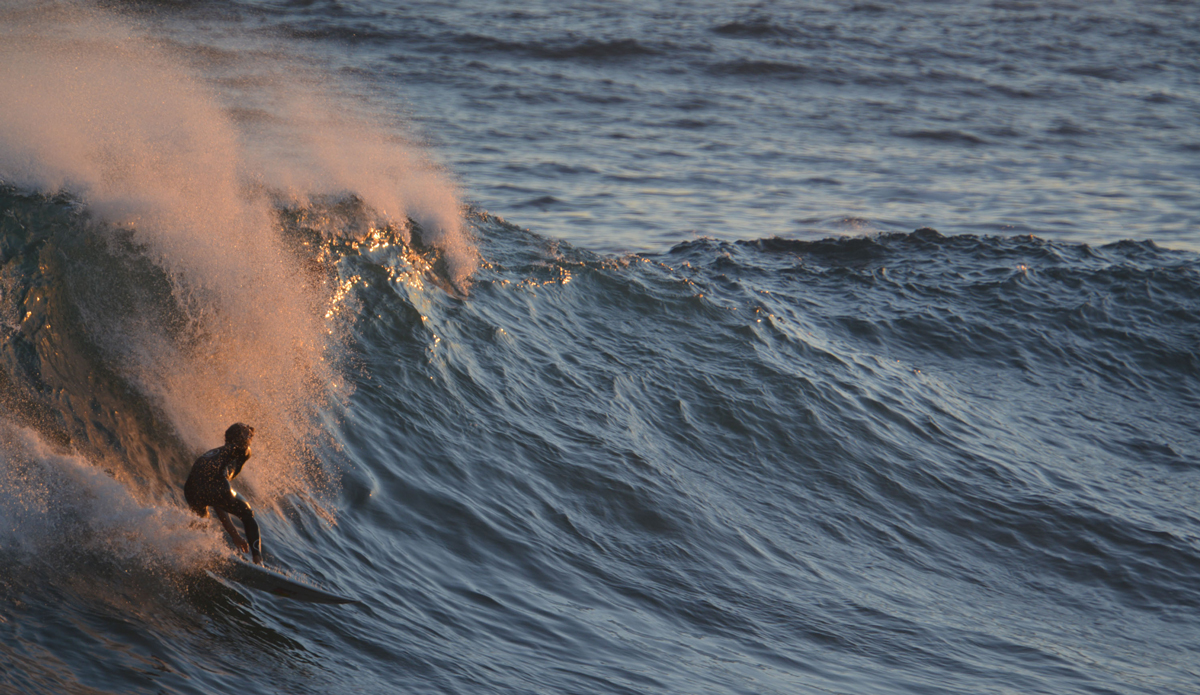 Photo: <a href=\"https://www.tylerbrundage.com/\">Tyler Brundage</a>