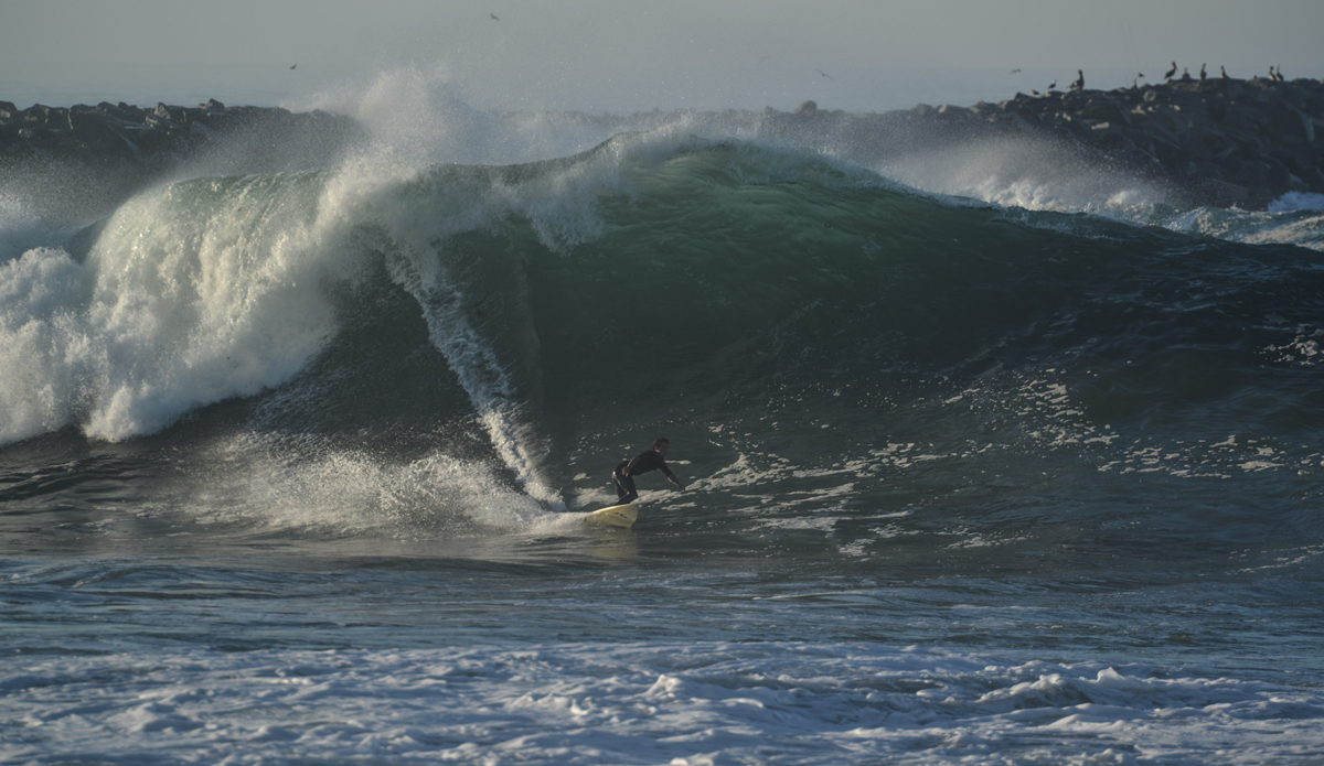 Photo: <a href=\"https://www.tylerbrundage.com/\">Tyler Brundage</a>