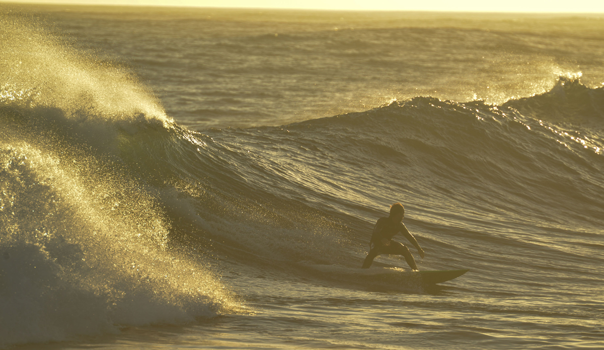 Photo: <a href=\"https://www.tylerbrundage.com/\">Tyler Brundage</a>