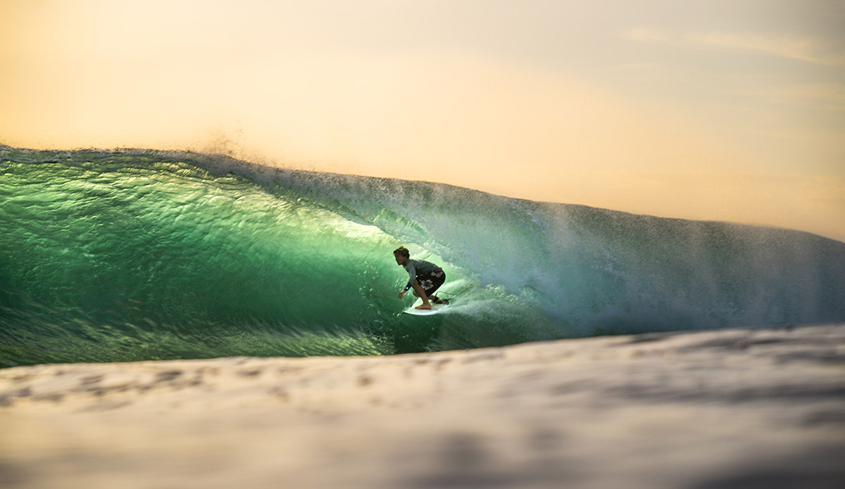 Light. It\'s everything.