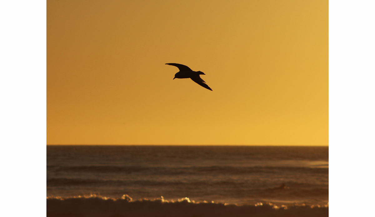 Photo: <a href=\"https://www.flickr.com/photos/tannerrumsey\">Tanner Rumsey</a>