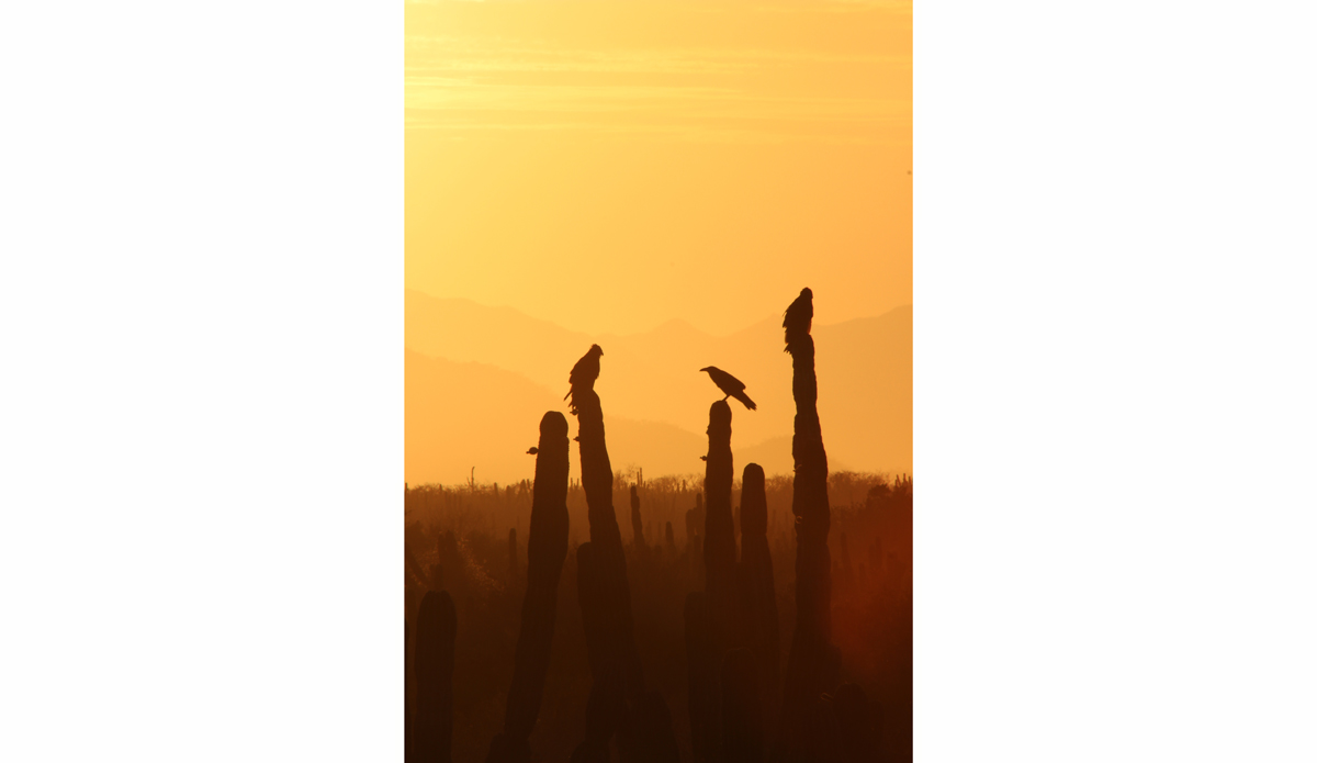 Photo: <a href=\"https://www.flickr.com/photos/tannerrumsey\">Tanner Rumsey</a>