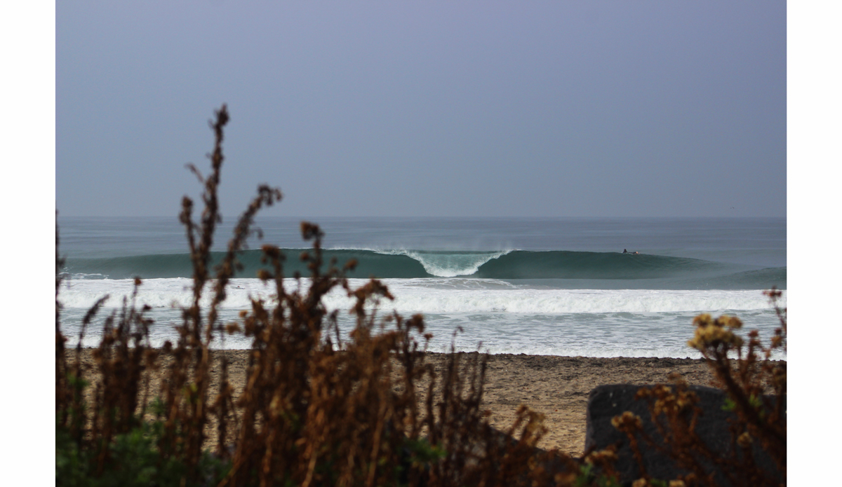 Photo: <a href=\"https://www.flickr.com/photos/tannerrumsey\">Tanner Rumsey</a>