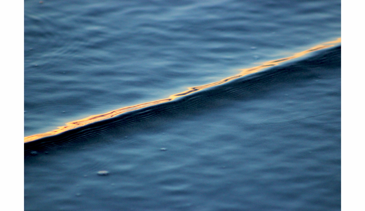 Photo: <a href=\"https://www.flickr.com/photos/tannerrumsey\">Tanner Rumsey</a>