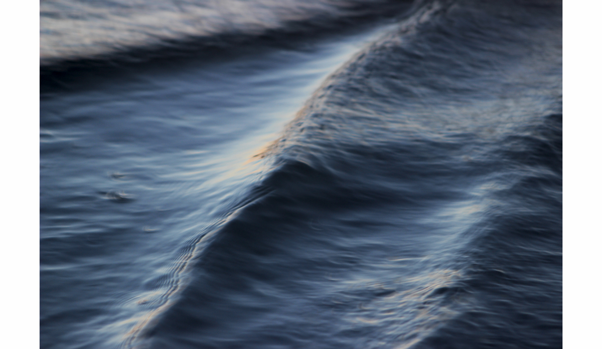 Photo: <a href=\"https://www.flickr.com/photos/tannerrumsey\">Tanner Rumsey</a>