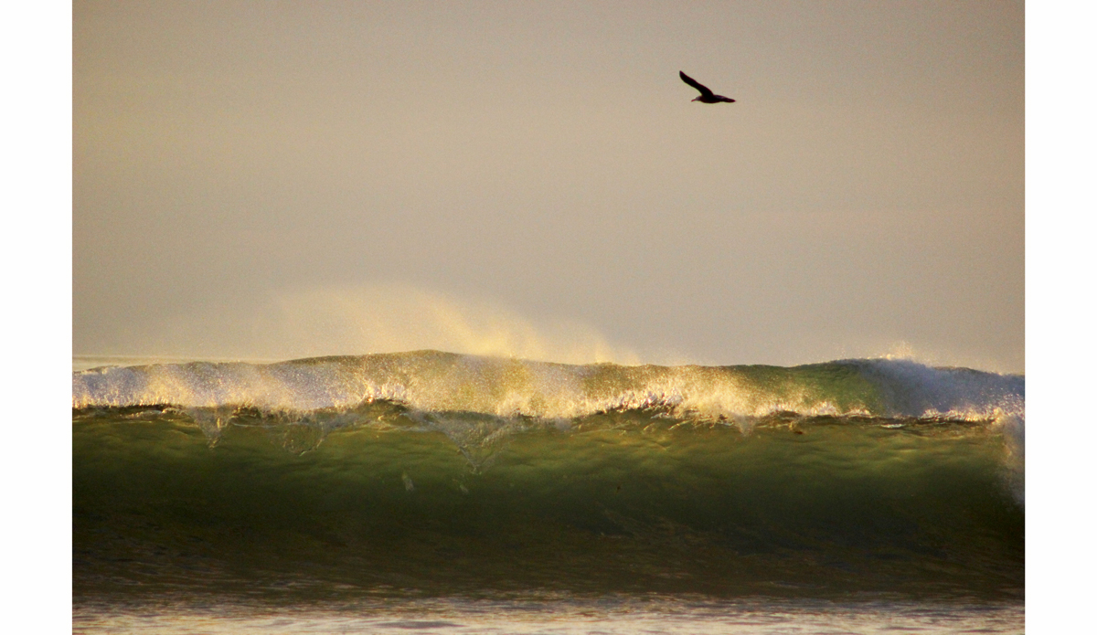 Photo: <a href=\"https://www.flickr.com/photos/tannerrumsey\">Tanner Rumsey</a>