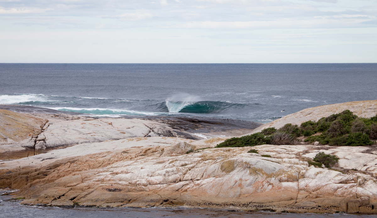 Short and crisp. Photo: <a href=\"https://extractcontent.tumblr.com\">Alasdair Shurman</a>