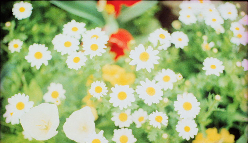 The colors in Tatar\'s photos are unique to the technique he uses to process the film. Photo: <a href=\"https://www.ryantatar.com\" target=\"_blank\">Ryan Tatar.</a>