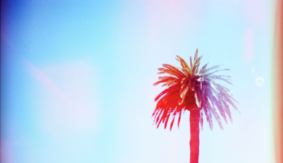 Palm trees never get old. Photo: <a href=\"https://www.ryantatar.com\" target=\"_blank\">Ryan Tatar.</a>