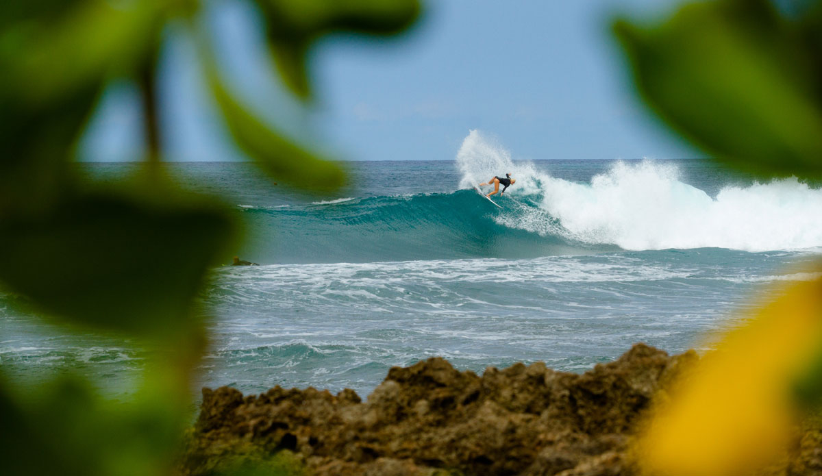 Photo: <a href=\"https://www.bodyglove.com/\"> Body Glove</a> / <a href=\"https://instagram.com/dani_nemeth/\">Dani Nemeth</a>