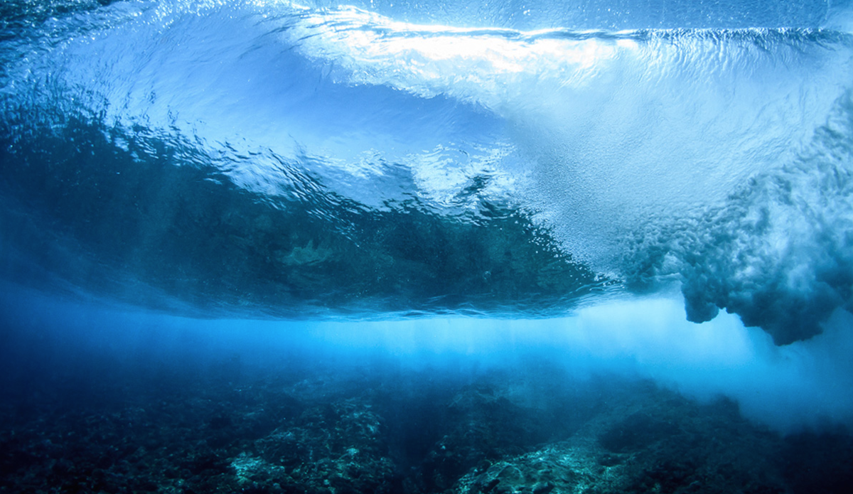 One of my favorite angles to capture. Taking advantage of the clarity of this underwater world. Photo: <a href=“ www.rookemedia.com”>Tyler Rooke</a>