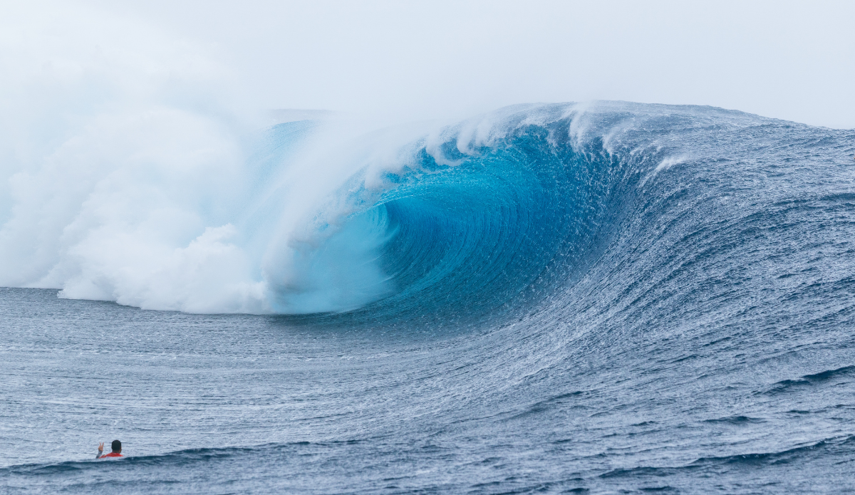 Photo: WSL 