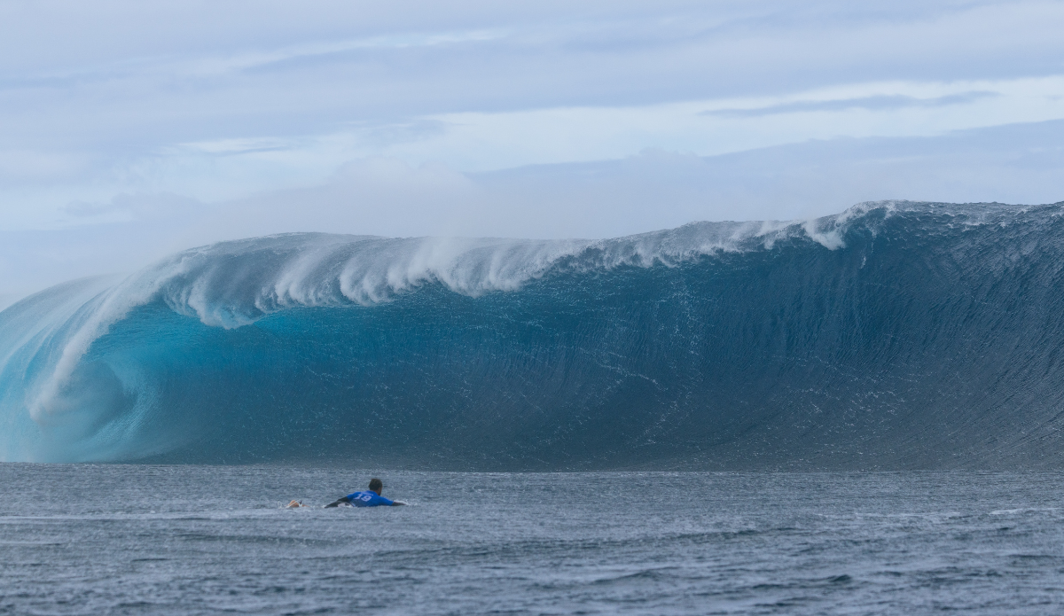 Photo: WSL 