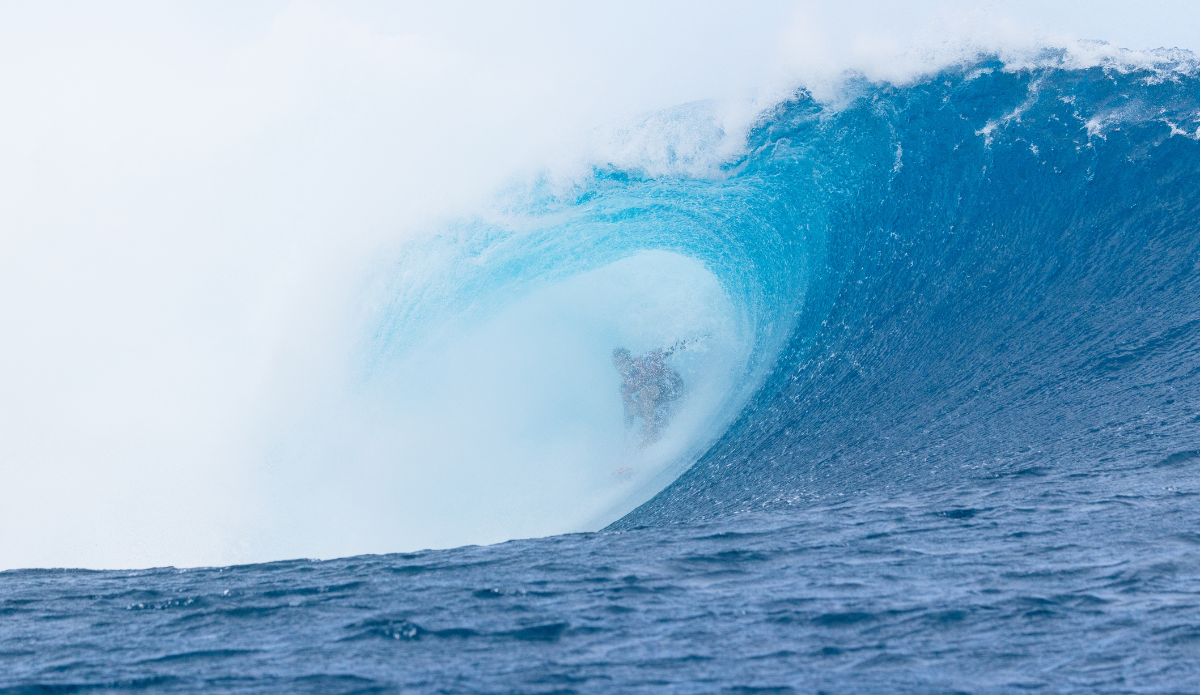 Photo: WSL 