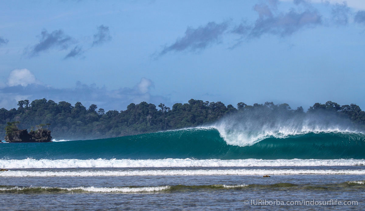 Photo: <a href=\"https://iuriborba.com/\">IURI BORBA</a> 