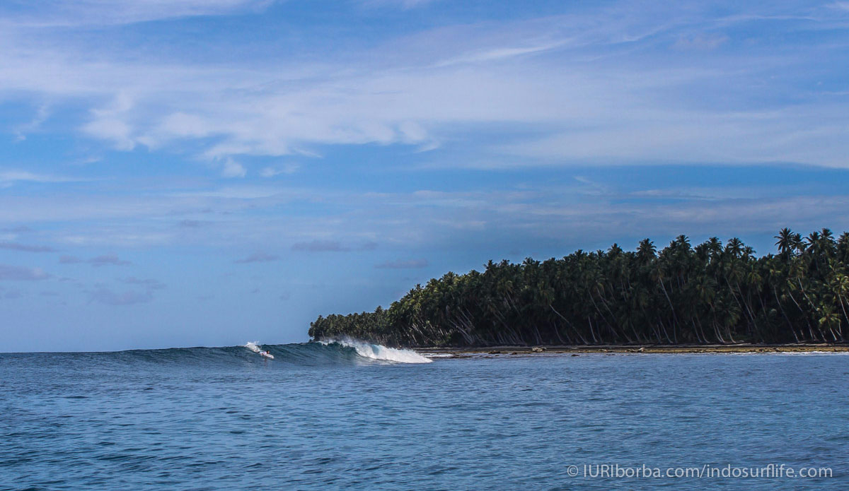 Photo: <a href=\"https://iuriborba.com/\">IURI BORBA</a> 